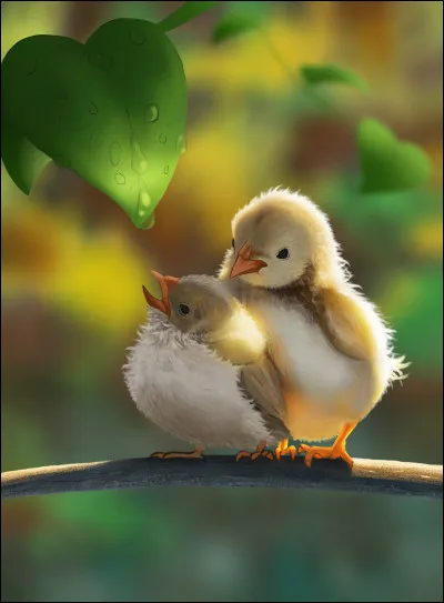 Ce pigeon est aimé - Trois jours par sa pigeonne !