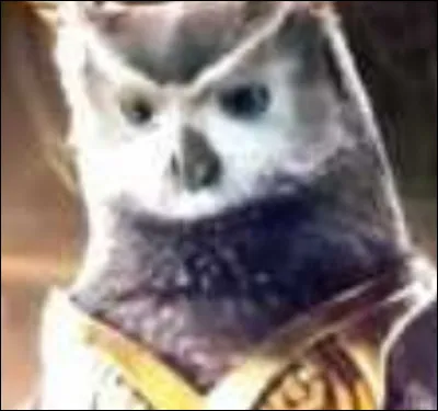 Comment s'appelait la chouette qui était sa protectrice ?