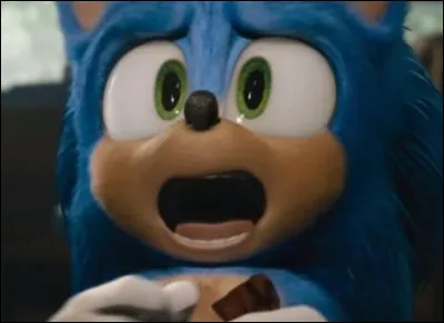 Pour qui se fait passer Sonic quand il rencontre Tom ?