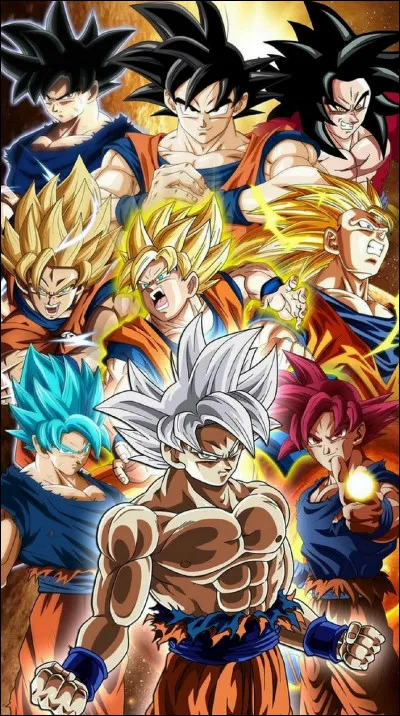 Combien de transformations a Goku ?