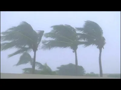 Dans l'océan Atlantique nord, le 5 juin 2001 a lieu la tempête tropicale...