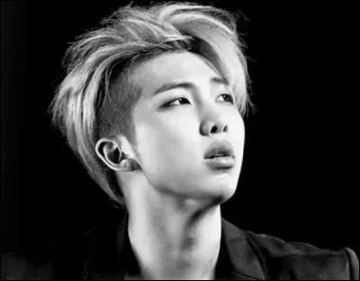 Quelle taille Rap Monster faisait-t-il en 2013 ?