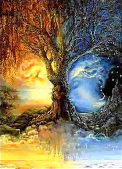 Aime-t-il la lumi&egrave;re ou la "sombritude" ?