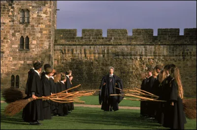 Madame Bibine : "Bien, dites le mot magique !"