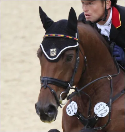 Je m'appelle Sam FBW et je suis un Württemberger. Je suis né en Allemagne en 2000. Je suis un cheval de/d'...