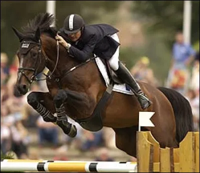 Diamant de Semilly est un Selle Français sacré meilleur étalon du monde en 2016. C'est un cheval de CSO. Comment s'appelle sa mère ?