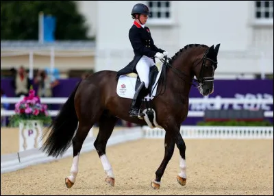 Je m'appelle Valegro et je suis un KWPN, célèbre cheval de dressage. Qui est mon ou ma cavalier/cavalière ?
