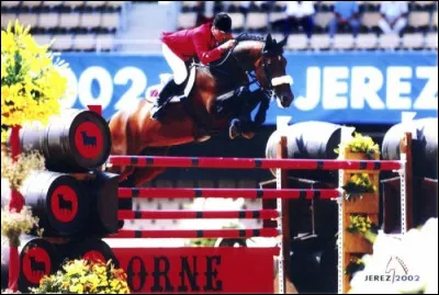 Je m'appelle Nabab de Rêve, je suis génétiquement un Selle Français et ma robe est bai. Je suis un célèbre cheval de CSO. Ma mère s'appelle Mélodie en Fa et mon père Artichaut. Où suis-je né ?