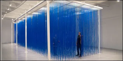 Qui a réalisé "Pénétrable BBL Bleu", une installation immersive issue de la série des "pénétrables"? 
(voir image)