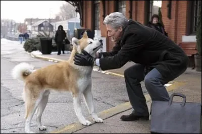 C'est un akita inu :