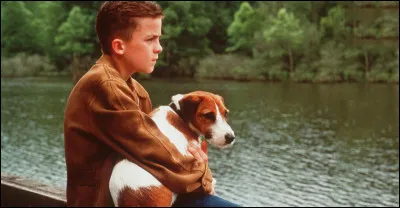 C'est un Jack Russell du film "Mon chien ___" :