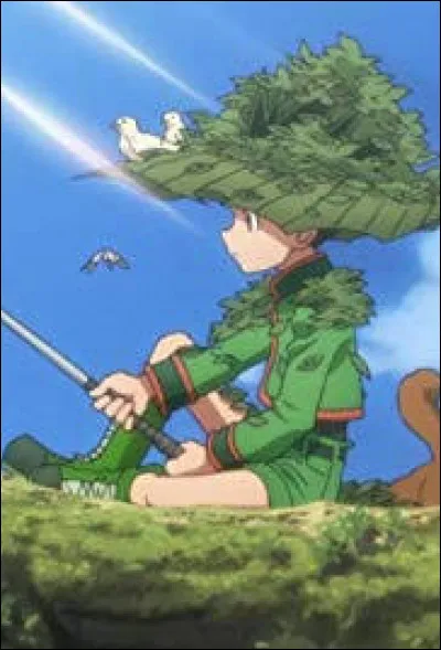 D'où Gon vient-il dans "Hunter x Hunter" ?
