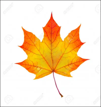 Qui a &eacute;crit les paroles de la chanson "Les Feuilles mortes" ?