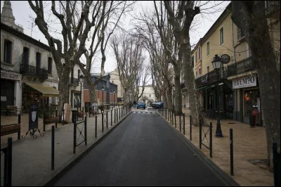 Ville de 25 000 habitants du département de l'Hérault, située 
 dans une plaine alluviale, sur la rive droite du Vidourle :