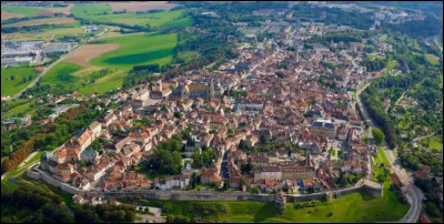 Ville de 8 000 habitants du département de la Haute-Marne, située sur une table calcaire aménagée en oppidum dominant la Marne au début de son cours :