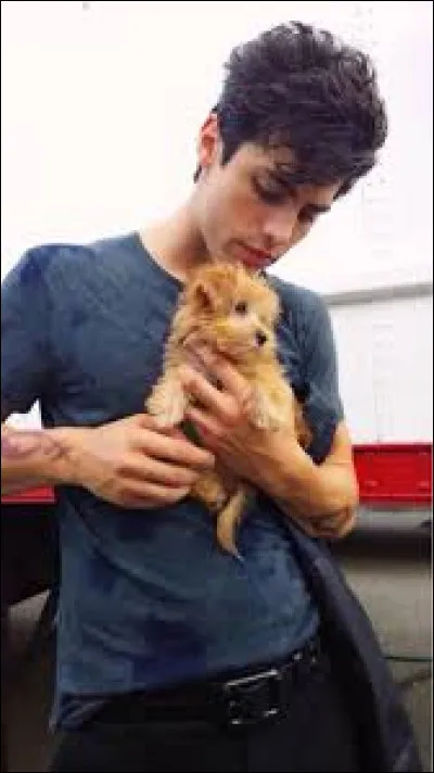 Vous trouvez un petit animal sur le c&ocirc;t&eacute;, que faites-vous ?