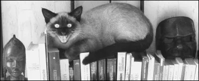 Histoire : Qui reçut de dieu, au mont Sinaï, les 10 commandements gravés sur les tables de la loi ?