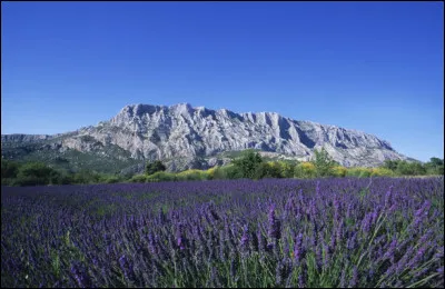 Cette photo a été prise aux abords de la montagne Sainte-Victoire :
