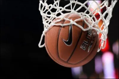 Comment s'appelle l'&eacute;quipe de basket de Denain ?