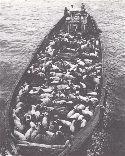 Où se passe cette histoire ?