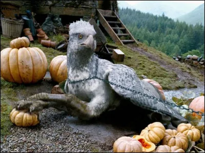 Comment cette hippogriffe se nomme-t-il ?