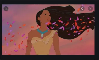Pocahontas
Moi je sais que la pierre, l'oiseau et les fleurs...