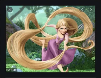 Raiponce
Ensuite je lis un livre et même deux ou trois, j'ajoute quelques couleurs qui ne plaisent qu'à moi...