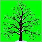 Quelle est cette image ?