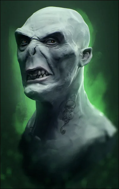 Pourquoi Tom Elvis Jedusor se nomme-t-il Voldemort ?