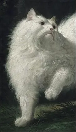 Napoléon Bonaparte :