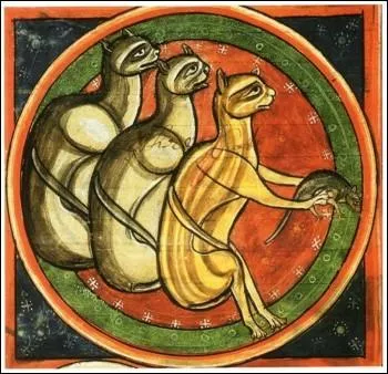 Au Moyen Âge, la Papauté stipule que le chat est l'auxiliaire du Diable. On accuse des femmes de sorcellerie car on croit qu'elles :