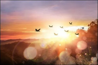 "Avec l'_______ maternel, la vie nous a fait à l'aube une _______ qu'elle ne tient jamais."