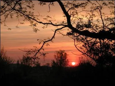 Quel est le premier vers de la poésie "Aube" d'Arthur Rimbaud ?