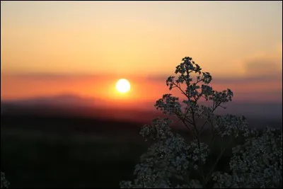 Qui chantait "C'est à l'aube" ?