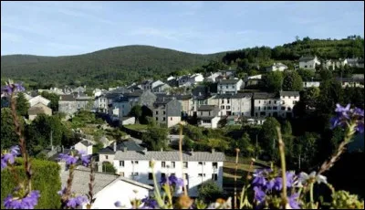 Petite ville de 2 500 habitants du département du Tarn, située à 800 mètres d'altitude dans un massif montagneux :