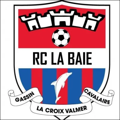 Quelles sont les couleurs du club ?