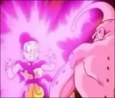Super Buu a transformé Chichi en...