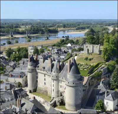 Petite ville de 4 500 habitants du département d'Indre-et-Loire, située sur la rive droite de la Loire :