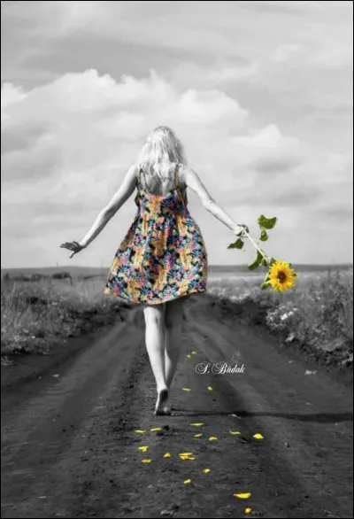 C'est une voie gallo-romaine qui était appelée "le chemin de Cocaigne", quelles régions reliait-elle ?