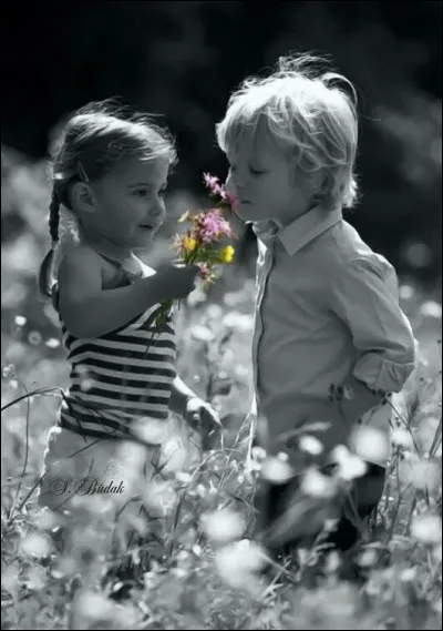 Qui est l'auteur du roman "Le Chemin des écoliers" ?