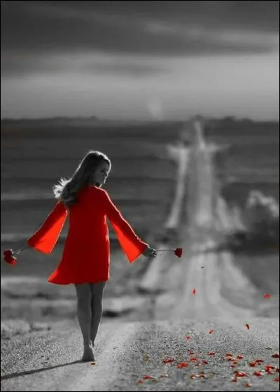 Où conduisent les chemins de Compostelle ?