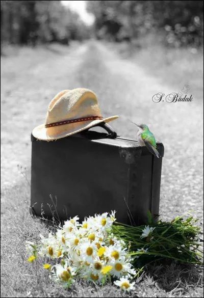 Que signifie "trouver son chemin de Damas" ?