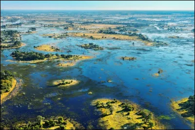 Dans quel endroit se jette le delta de l'Okavongo, fleuve de Afrique australe ?