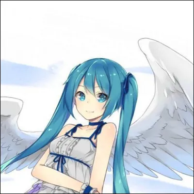 De quelle couleur sont tes cheveux ou de quelle couleur voudrais-tu les avoir ?