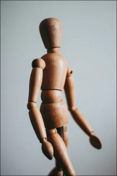 Le virus se transmet