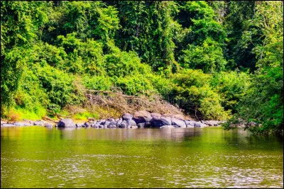 En 2020 le président est :