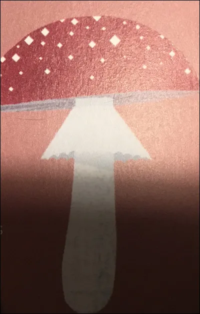 Quel champignon est-ce ?