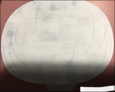 Quel champignon est-ce ?