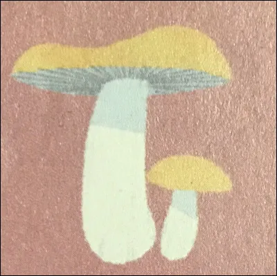 Quel champignon est-ce ?