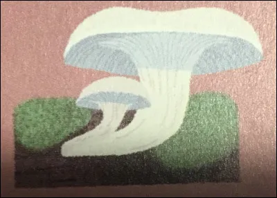 Quel champignon est-ce ?